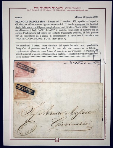 Naples grana varieta - 1,